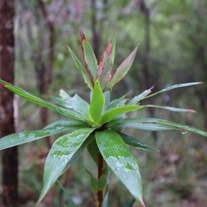 Meet your Posher, Abigail